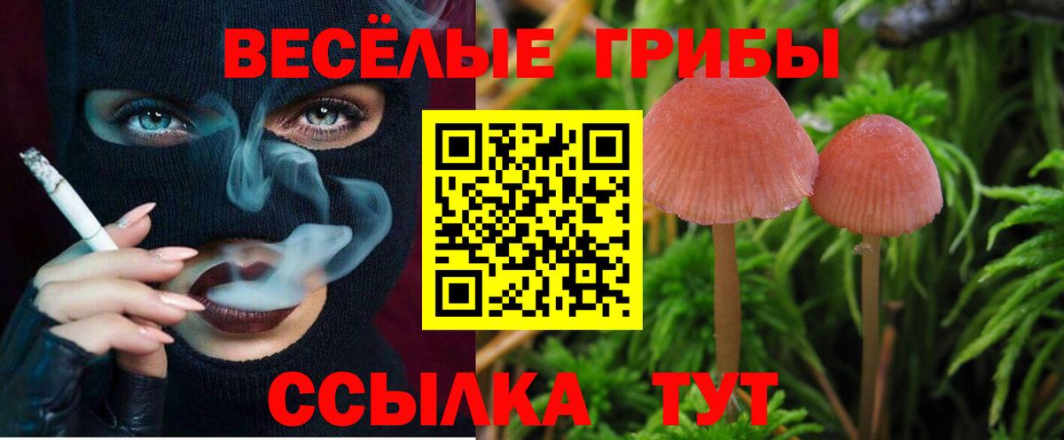 Псилоцибиновые грибы Psilocybine cubensis  Вход с VPN  Галлюциногенные грибы ЛСД  Казань 